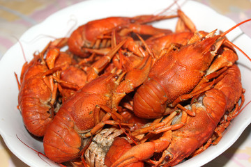 Boiled crayfish on a plate