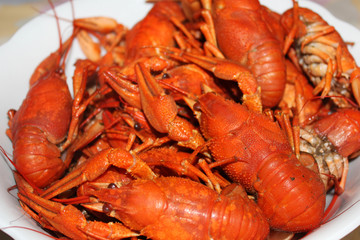 Boiled crayfish close up