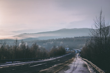 foggy winter road