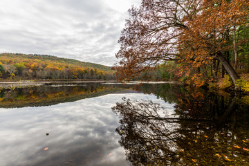 Fototapeta na wymiar Laurel Lake Recreational Area in Pine Grove Furnace State Park in Pennsylvania during fall