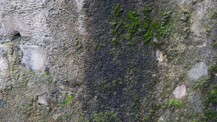 .old grunge concrete wall
