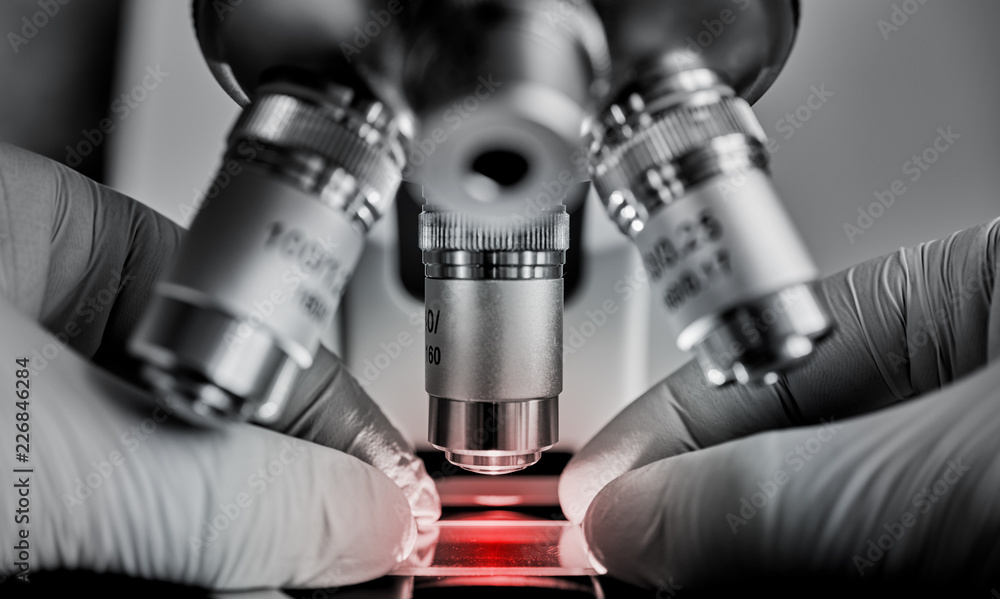 Wall mural scientist hands with sample slide on microscope close-up shot in the laboratory