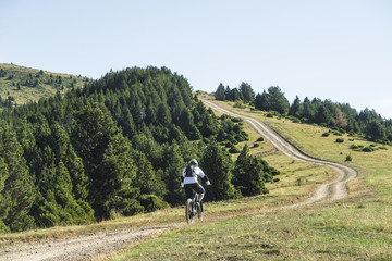 El camino del ciclista