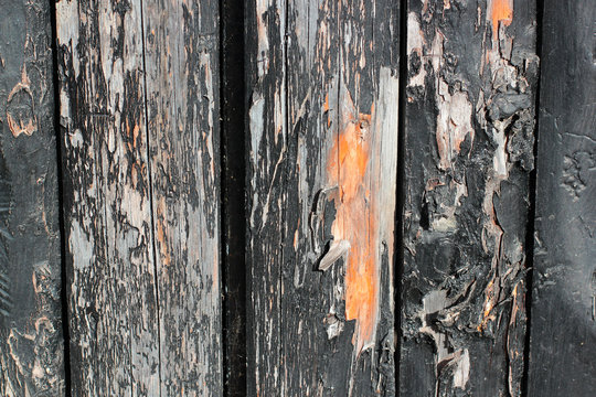 Dark wooden boards, planks. Naturally aged wood, natural brushing process. The top view. Close-up. The stock photos.