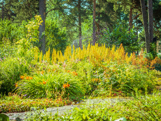 Landscape design, beautiful Park with flowers and conifers, Kotka, Park Isopuisto, Finland. Automatic plant watering system