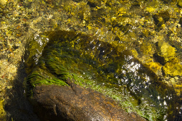 Beautiful Geneva Lake has a lot to offer from the walking path around the 27 mile lake to boating, fishing, restaurants on the lake, and of course tours of famous families.