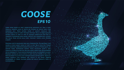 Goose of the particles. Goose consists of circles and points. Vector illustration. © newrossosh
