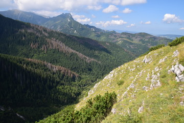 Fototapeta na wymiar Massif des Tatras, vu du Skupniów Upłaz