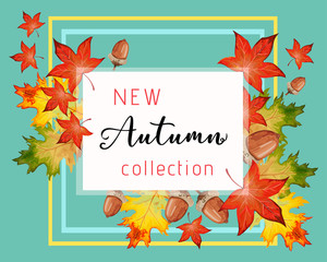 New collection banner for Autumn with fall leaves.