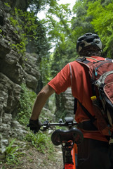 man with an electric bike, e-bike, ebike, mtb, mountain, rock canyon created by a river, forest, summer, sport, adventure, freedom, alps, Path called 