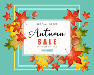 Banner for Autumn sale with fall leaves.