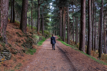 woman walking in autumn forest
