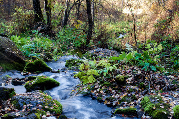 Obraz premium Landscape mountain river in autumn forest at sunlight. Fast jet of water at slow shutter speeds give a beautiful magic effect.