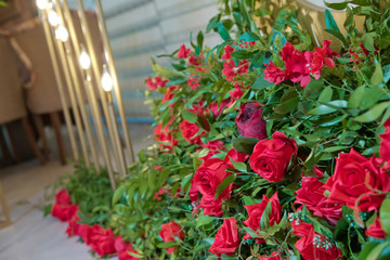 Red rose background . Red roses background - natural texture of love . Red roses on slate, Background . red roses decorations . Red rose as a natural and holidays background