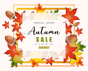 Banner for Autumn sale with fall leaves.