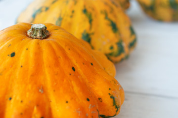 Squash background as warm autumn concept for thanksgiving day