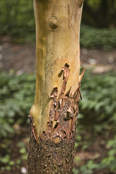 pealing away the layers to find the truth