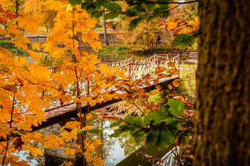 Kleine Brücke im Herbst