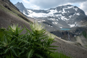 Obraz premium mountains