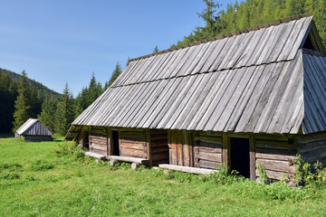 Fototapeta na wymiar Cabane traditionnelle de montagne au fond de la Vallée du Jaworzkynka