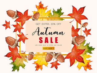 Banner for Autumn sale with fall leaves.