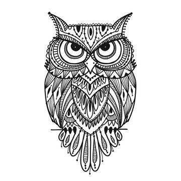 Ornate owl, zenart for your design