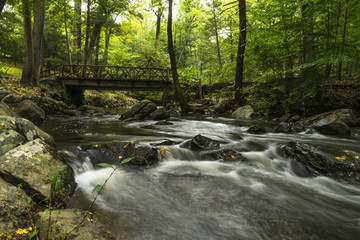 Fototapeta premium Little bridge and slow water