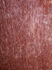 The texture of a fragment of the old fence of rusty metal in the natural environment
