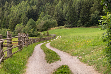 Fototapeta na wymiar Sentiero con staccionata che attraversa un campo di montagna