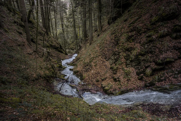 Bach im herbstlichen Wald