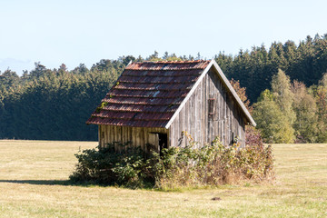 Obraz premium small house on a green meadow in front of forest