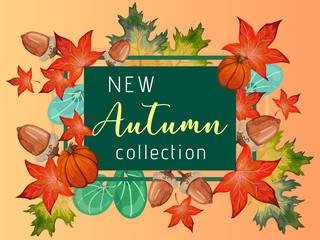 New collection banner for Autumn with fall leaves and pumpkin.