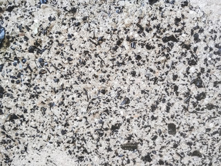 Background of cinder blocks. 