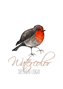 Watercolor logo template with bird. Colorful birds roben redbreast in watercolor technique. Cute illustration for cards, prochures.