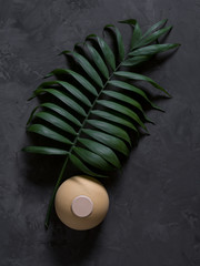 aroma reed diffuser home fragrance with rattan sticks on a black background with palm leaves and shadows.