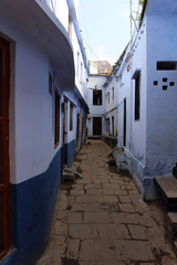 Fototapeta premium Translation: The narrow and colorful alley (plus cows) of Varanasi
