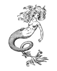 Image of Mermaid woman. Sea siren. Antique Mythical Greek monster. Mythological animal. Ocean symbol. Fantastic creatures in the old vintage style tattoo. Engraved hand drawn old sketch. printed on Printed Glass Basin Splashbacks