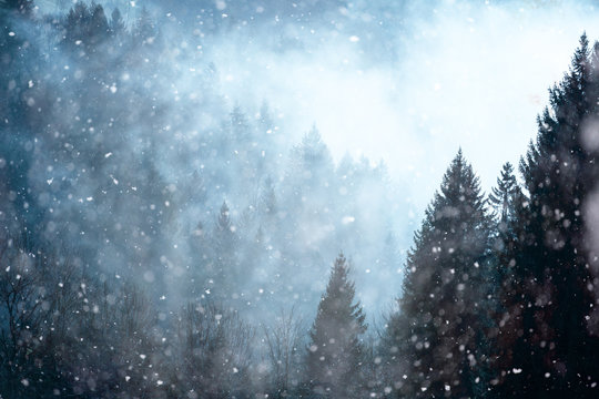 Snowfall in foggy and cloudy forest landscape.