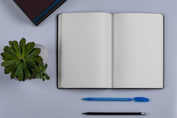 An empty outdoor diary with a pen and pencil and glasses with a green plant