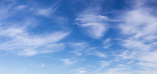 Plumose clouds in the blue sky