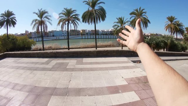 POV, palm trees in Seville