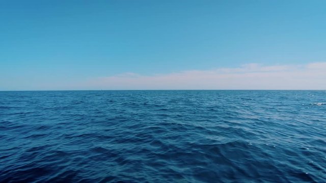 Epic video of beautiful graceful dolphins follow sailboat or yacht in open sea or ocean, jump out of water. Summer adventure, natural wonder and travel destination dream concept