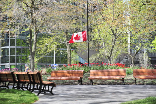 Canadian Flag At Half Mast In Park At Place Du Canada