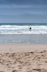 Obraz premium Surfer on the beach