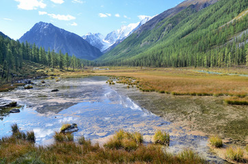 Russia, mountain Altai. The river Shavla in summer