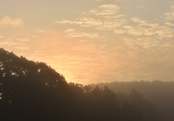 the sun coming up orange over trees