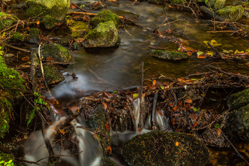 Autumn landscape with mountain river flowing among mossy stones through the colorful forest. Silky smooth stream of clear water.