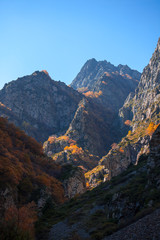 Colorful autumn landscape in the Caucasus mountains, colorful forest in Kazbegi, Georgia