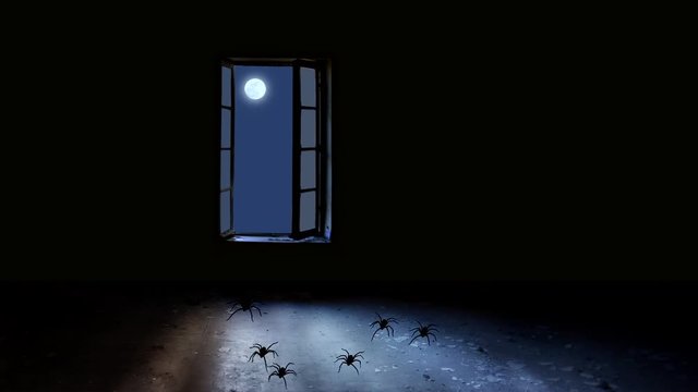 Mystery room with window, full moon and spiders. Animation.