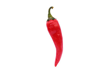 Red hot pepper. Vertical view. Close-up. Isolated on white background. Isolate.